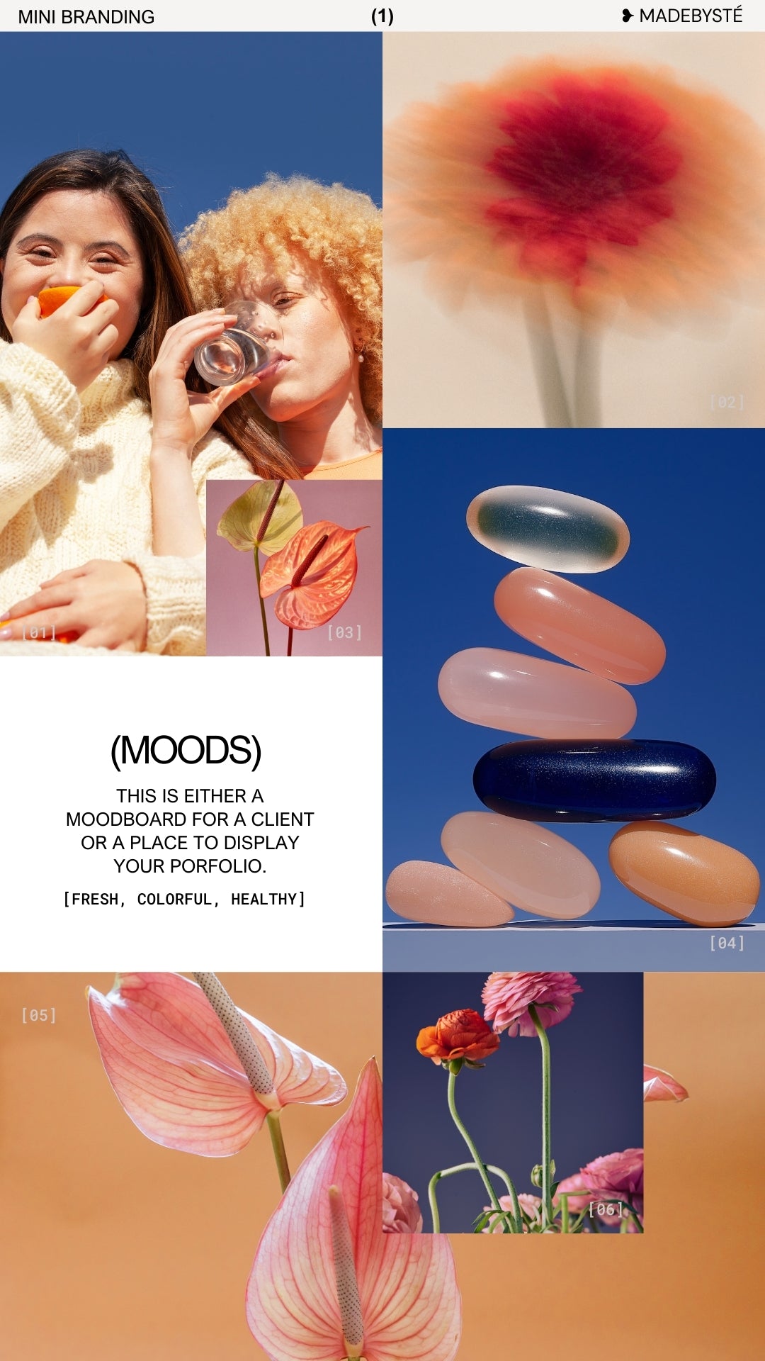 Flossier Mini Branding